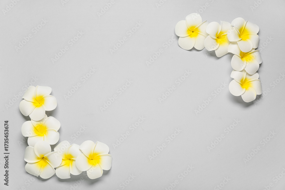 Obraz premium Frame made of beautiful plumeria flowers on grey background