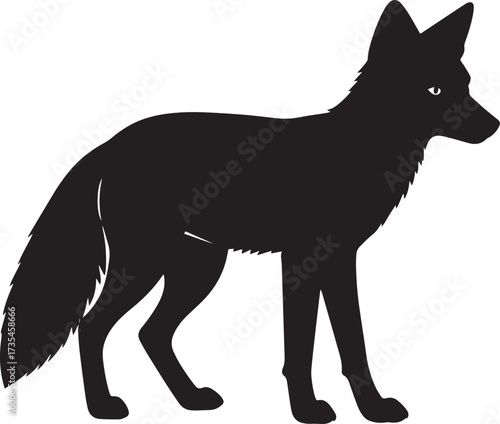  Wild Fox Silhouette Vector Illustration
