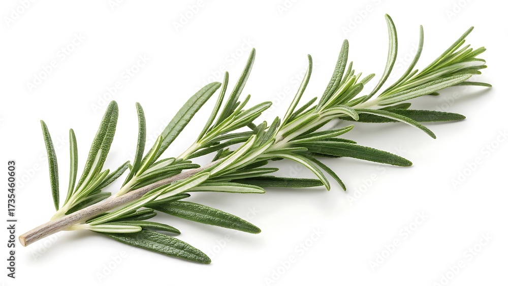 Fototapeta premium A whisper of rosemary cut-out isolated on white background With shadow. AI GENERATED.