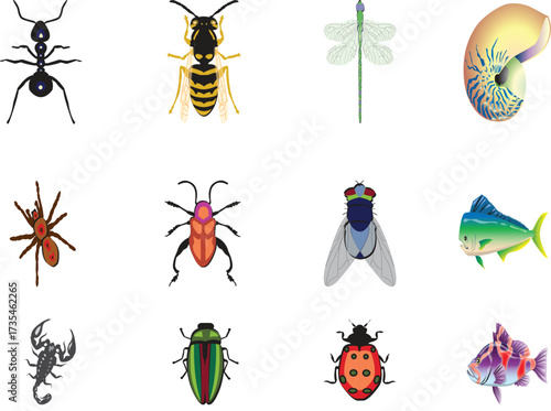 Collection of insects, arachnids, and sea creatures on white background