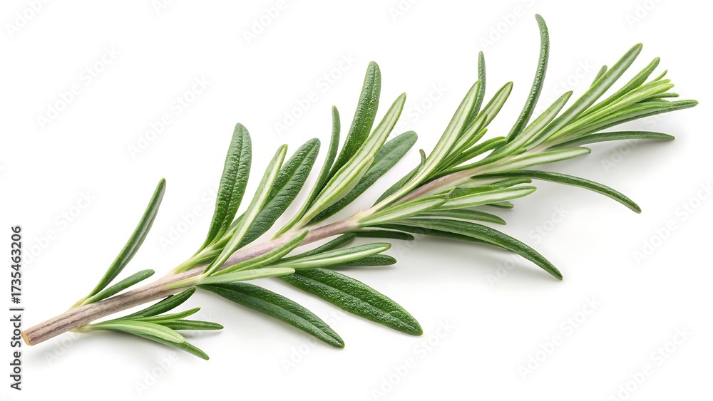 Fototapeta premium A whisper of rosemary cut-out isolated on white background With shadow. AI GENERATED.