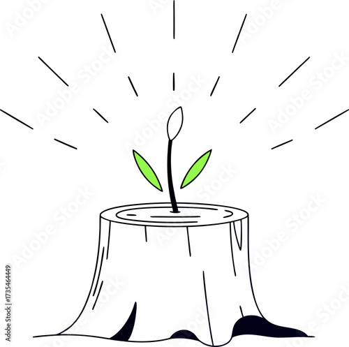 A new plant sprouting from a tree stump, symbolizing growth and renewal in nature.