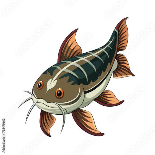 Isolated illustration of a catfish with orange eyes and white background Keywords: catfish, fish