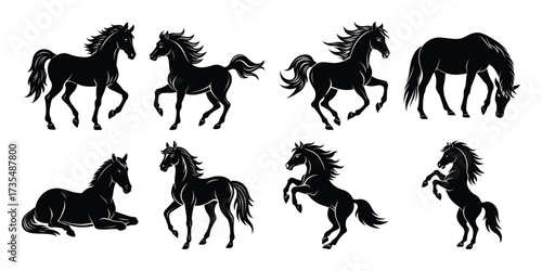 Silhouette of horses in different poses isolated on white background