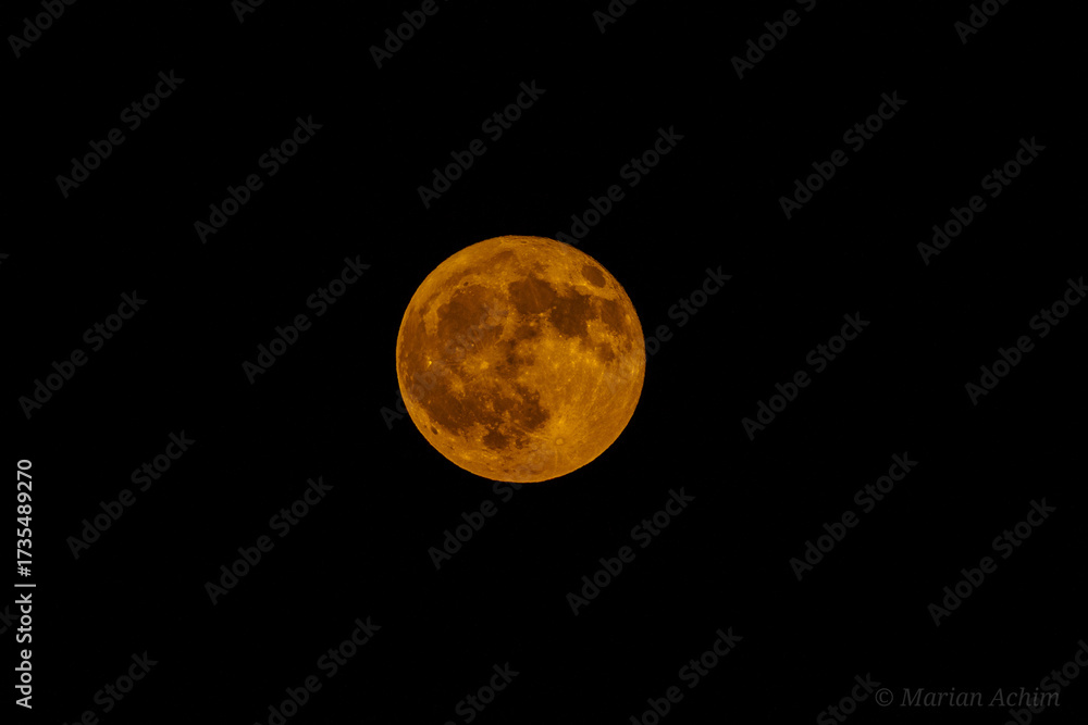 Obraz premium full moon on black