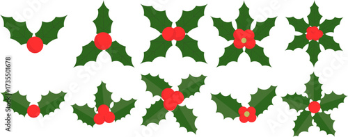Christmas Holy Leaf
