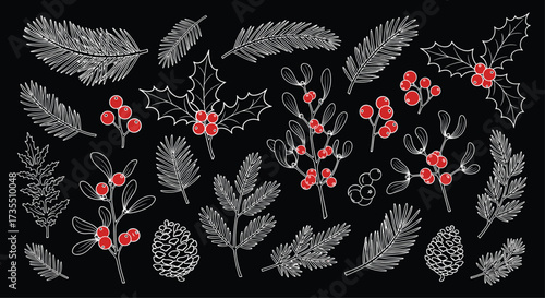A collection of decorative festive winter plants and berries.