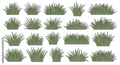Various clumps of green ornamental grass in different shapes and sizes.