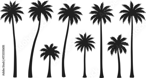 Palm tree silhouette collection, tropical coconut trees vector illustration, summer beach nature design, exotic paradise island landscape, holiday travel symbol