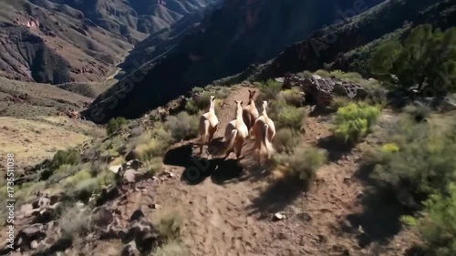 Wild Horses Galloping Through Majestic Canyon