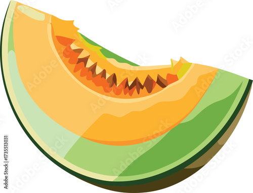 Cantaloupe Melon Slice with Visible Seeds cantaloupe, melon, slice, fruit, orange