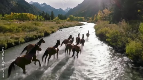 Wild Horses Galloping Through a Mountain River