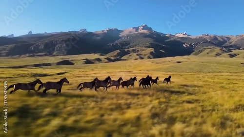 Wild Horses Galloping Across the Golden Plains