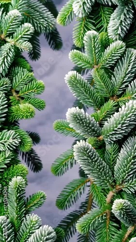 Vertical Christmas Tree Branch Opening Background