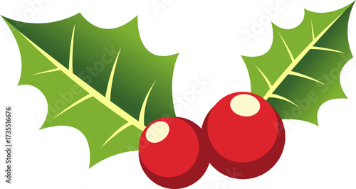 Holly Berries and Leaves Illustration