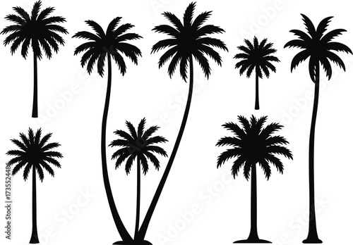 Palm tree silhouette vector illustration, tropical beach coconut tree design, exotic jungle nature shape, vacation summer symbol, paradise island element