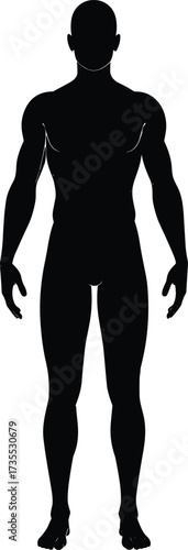 Male body silhouette vector, muscular man outline illustration, human anatomy figure design, fitness health posture, black man standing isolated graphic