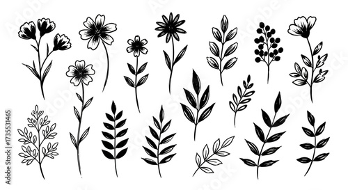 Flower brush hand drawn vector set. Hand drawn doodle flower, floral leaf elements in brush stroke ink style. Simple abstract botanical silhouette set for nature black paint art. Vector illustration