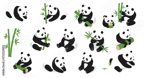 Playful pandas with bamboo in various poses on white background