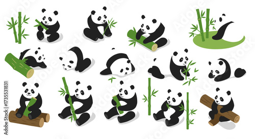 Playful pandas with bamboo cute isometric cartoon animals in various poses