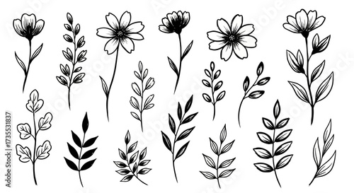 Flower brush hand drawn vector set. Hand drawn doodle flower, floral leaf elements in brush stroke ink style. Simple abstract botanical silhouette set for nature black paint art. Vector illustration