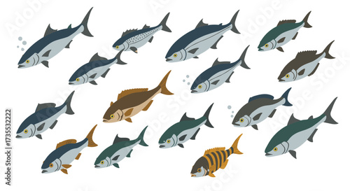Variety of fish in flat style depicting diverse marine species on white background