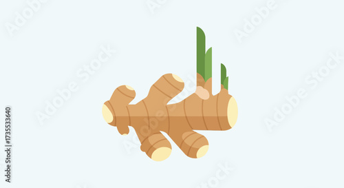 A ginger root with green sprouts on a light background.