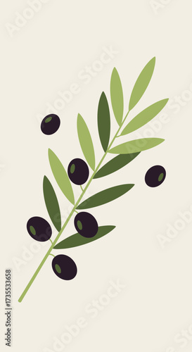 Olive branch with dark olives against a light background.