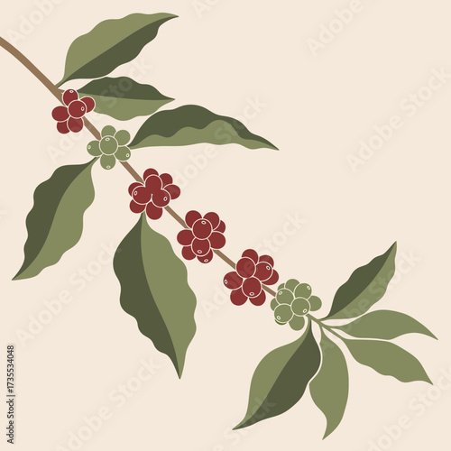 Coffee branch with red berries and green leaves on a cream background.