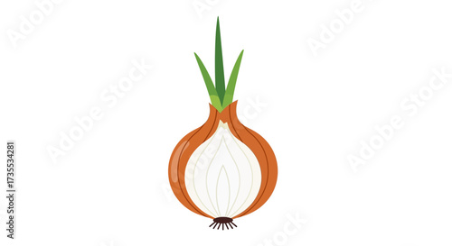 A halved onion with green sprouts on a white background.