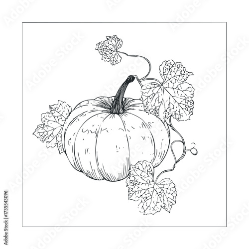 Autumn decoration with a pumpkin and vine leaves for seasonal design. Vector hand drawn illustration