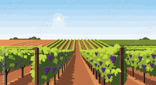 Rows of grapevines stretch across a sunny vineyard landscape.