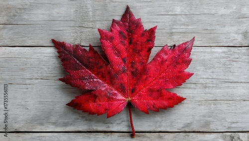 Vibrant red autumn leaf on weathered rustic wood background, symbolizing fall season and natural beauty.