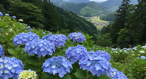Vibrant blue hydrangeas blooming on a hillside with mountain scenery