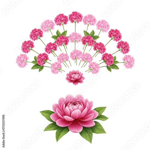 Exquisite pink peony blossoms arranged in a fan shape and single bloom detail