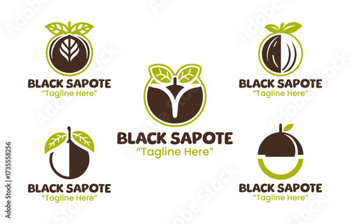 5 Black Sapote Logo Set Exotic Fruit Branding Logo Collection