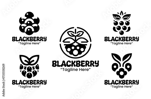 5 Blackberry Logo Set Berry Fruit Branding Logo Collection