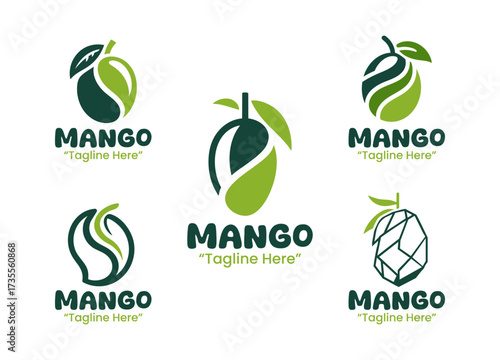 5 Mango Logo Set Tropical Fruit Branding Logo Collection