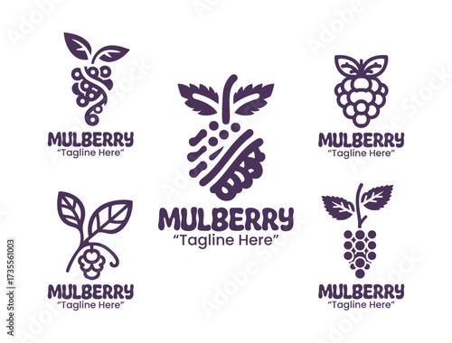 5 Mulberry Logo Set Berry Fruit Branding Logo Collection