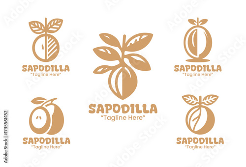 5 Sapodilla Logo Set Tropical Fruit Branding Logo Collection