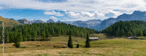 Alpine meadow in the Berchtesgadener Alps with mountain forest and distant peaks