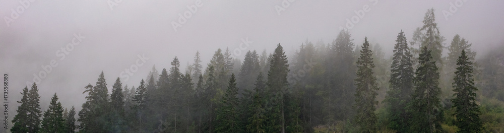 Fototapeta premium Foggy mountain forest with layered evergreen silhouettes