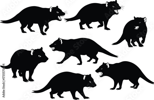 Vector illustration of Tasmanian devil silhouettes in various aggressive and standing poses, wild marsupial animal design for nature artwork collection
