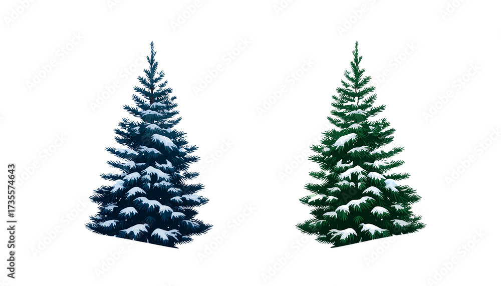 Obraz premium Two distinct evergreen trees in blue and green colors isolated on a white background alpha channel with white background