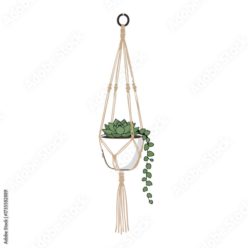 Bohemian Macrame Plant Hanger with Succulent Plant.