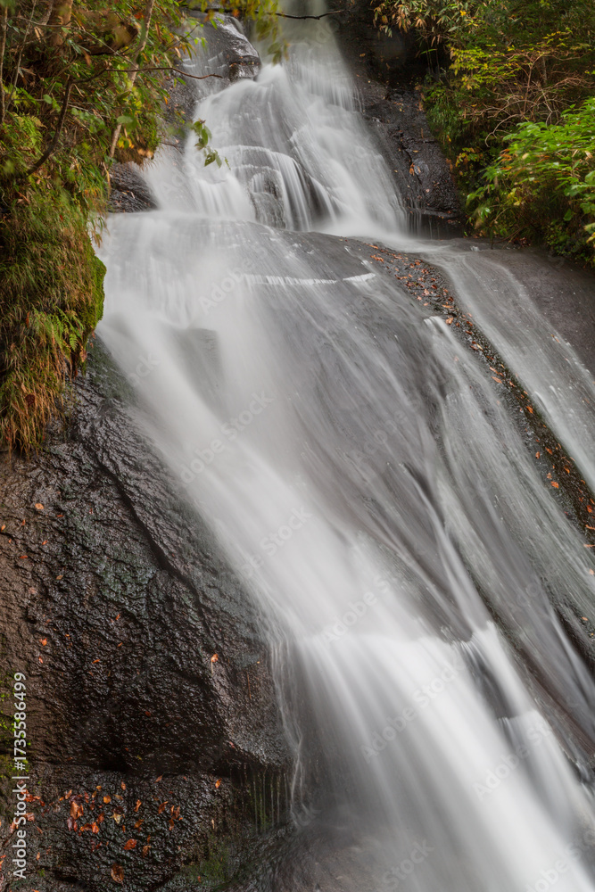 Obraz premium 秋の渓谷, mountain stream