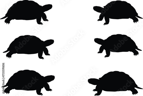 Turtle silhouette vector, black turtle shape, walking turtle, animal posture icon, wildlife illustration, reptile design, isolated turtle graphic, motion