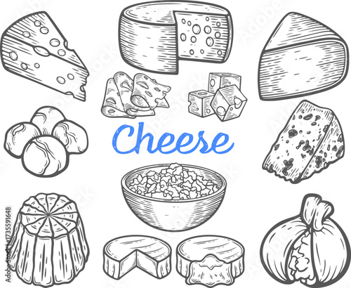 Cheese set engraving, collection of various dairy items, soft and hard type, burrata, ricotta, cottage, edam, roquefort, blue, gouda, mozzarella, brie, camembert, cheddar, parmesan isolated