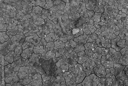 Wallpaper Mural Black cracked ground. Black dry earth background Torontodigital.ca