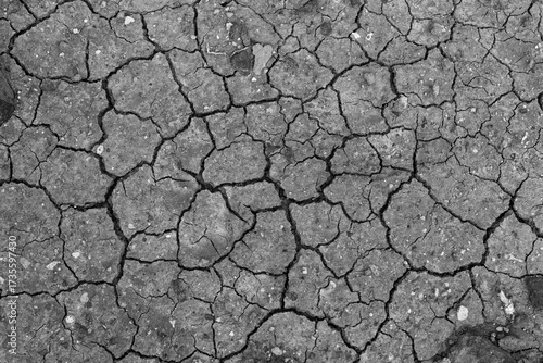 Wallpaper Mural Black cracked ground. Black dry earth background Torontodigital.ca